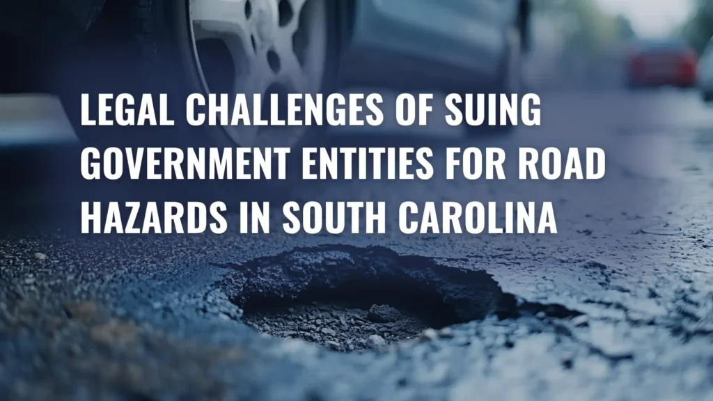 Legal Challenges of Suing Government Entities for Road Hazards in South Carolina image