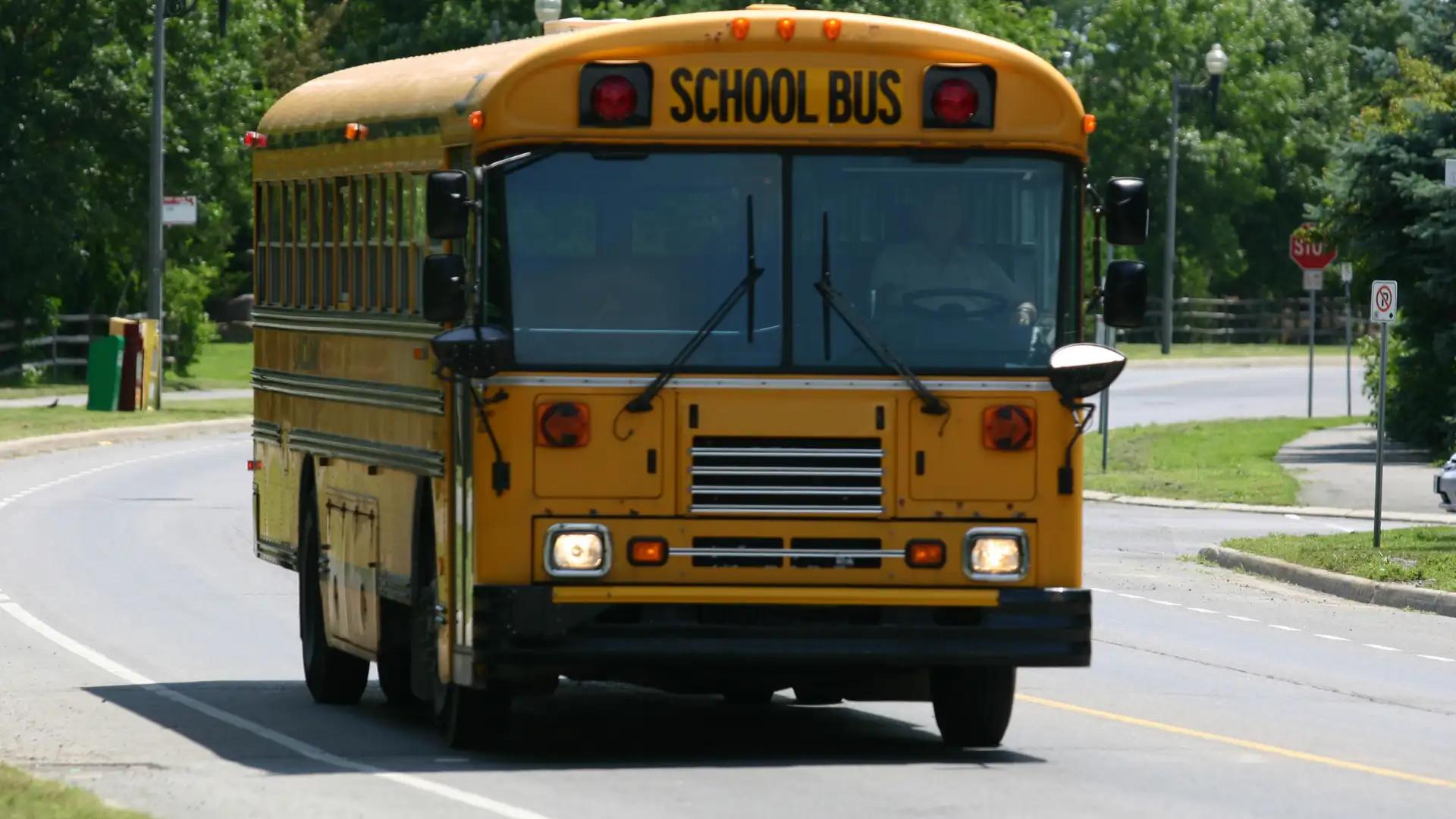 School Zone & School Bus Accidents in Summerville: Protecting Injured Children